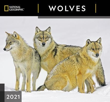 NATIONAL GEOGRAPHIC WOLVES CALENDAR 9781772185119