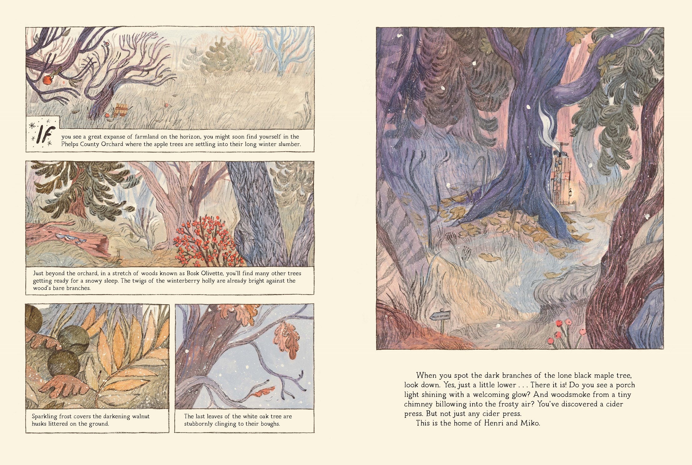 Henri and Miko: Winter in Bosk Olivette by Green. Rebecca 20 9781774880678_1