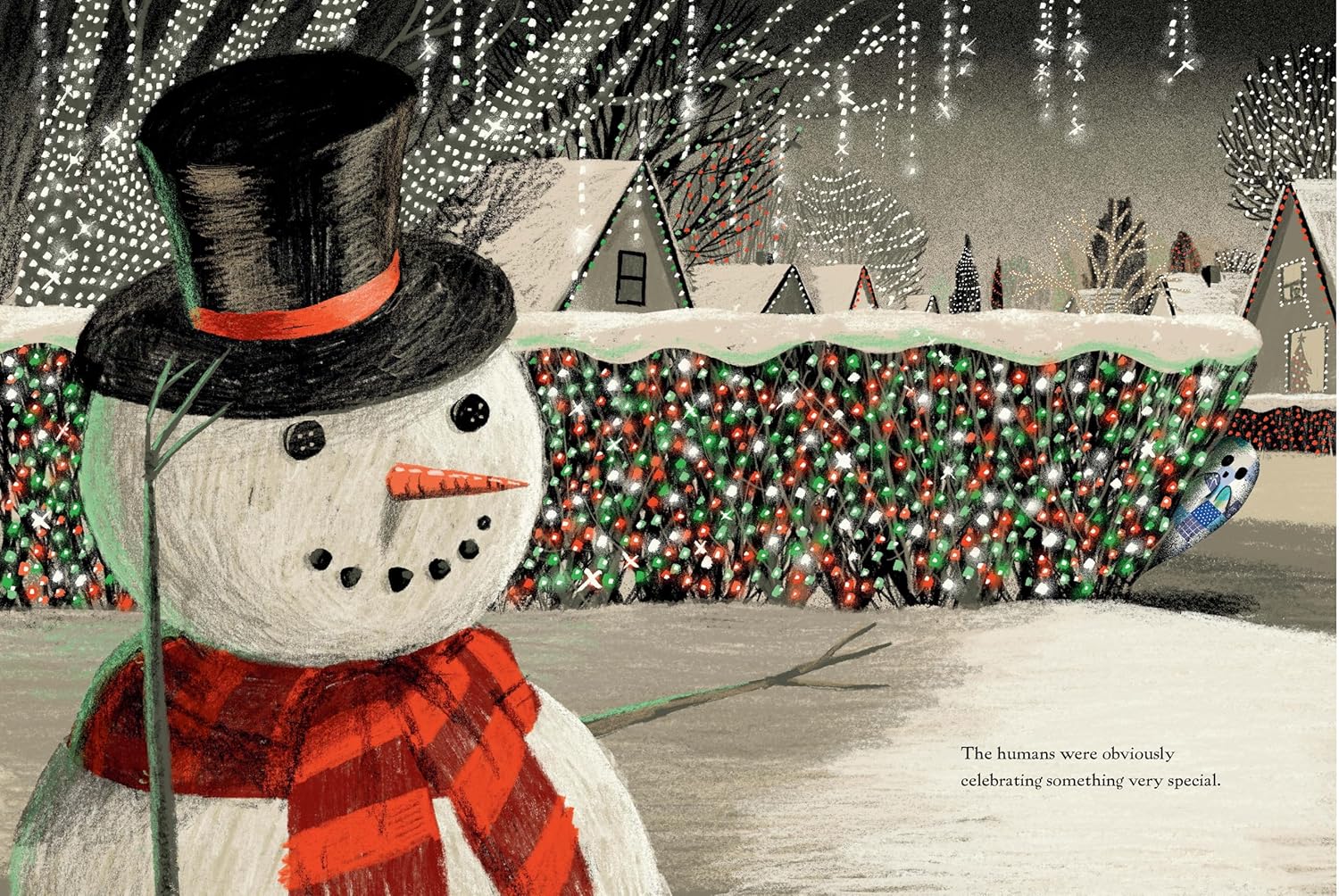 The Little Ghost Quilt's Winter SuRPrise by Nason. Riel 9781774885376_7
