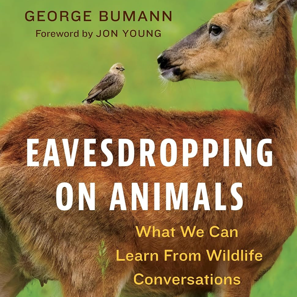 Eavesdropping On Animals: What We Can Learn From Wildlife Conse by Bumann. Georg 9781778403316