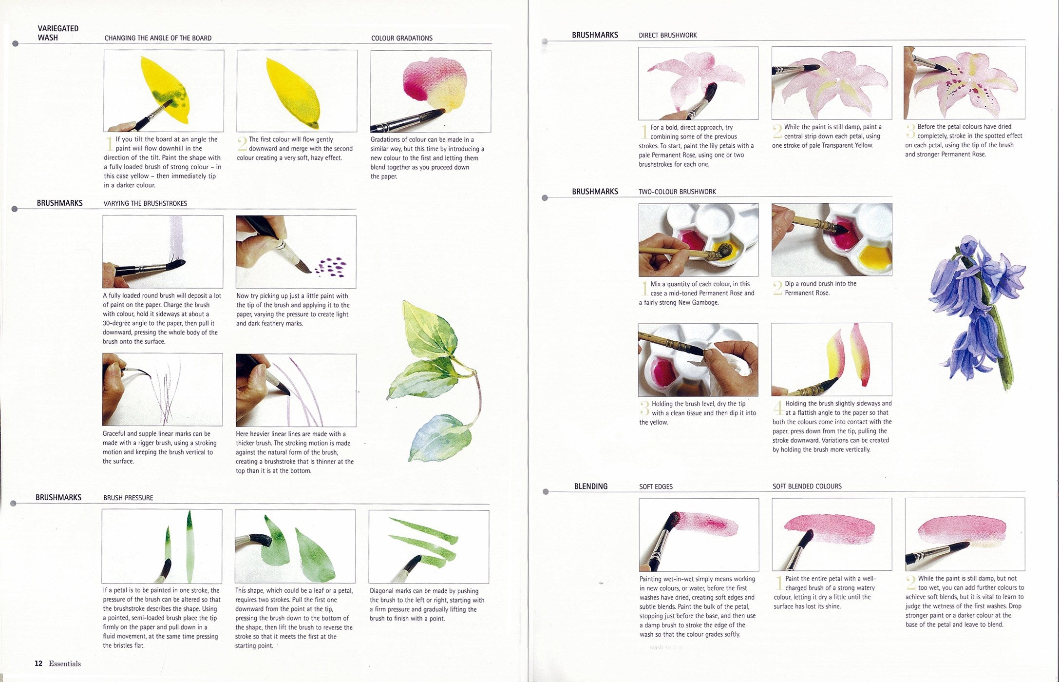 Kew: The Watercolour Flower Painter's A to Z by Fletcher. Adelene 30 9781782216483_2