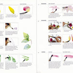 Kew: The Watercolour Flower Painter's A to Z by Fletcher. Adelene 30 9781782216483_2