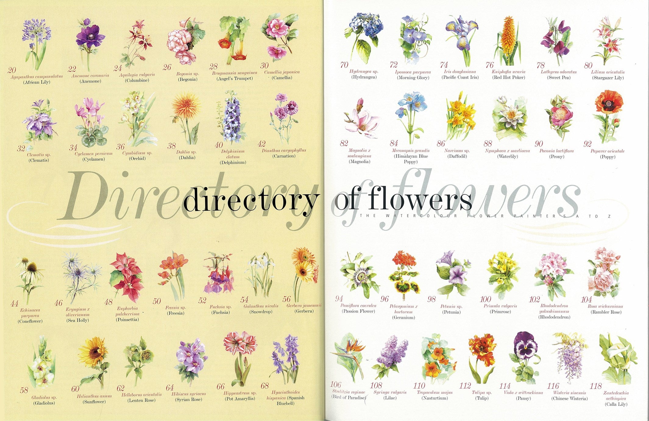 Kew: The Watercolour Flower Painter's A to Z by Fletcher. Adelene 30 9781782216483_3