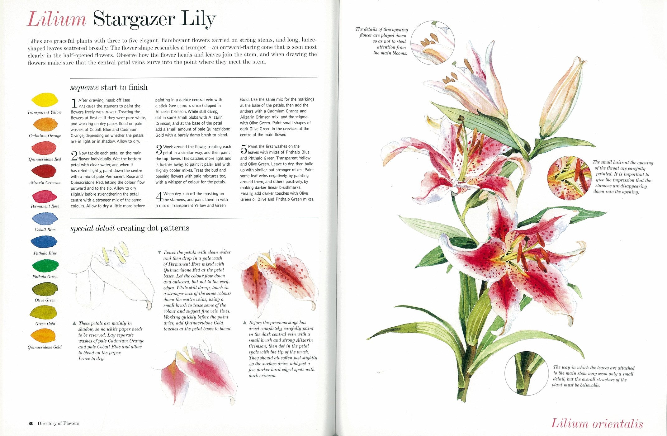 Kew: The Watercolour Flower Painter's A to Z by Fletcher. Adelene 30 9781782216483_4