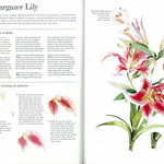 Kew: The Watercolour Flower Painter's A to Z by Fletcher. Adelene 30 9781782216483_4