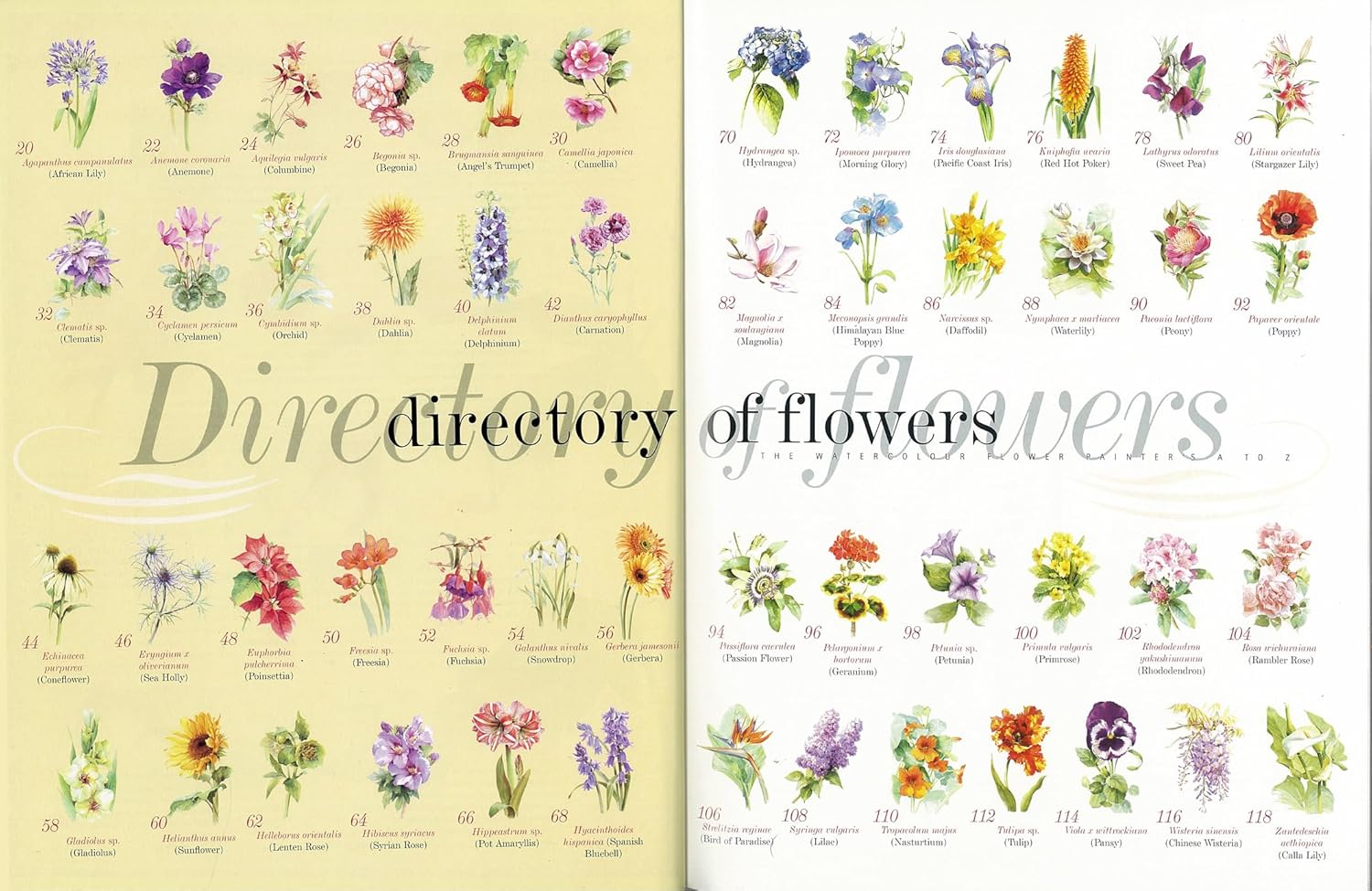 Kew: The Watercolour Flower Painter's A to Z by Fletcher. Adelene 30 9781782216483_4