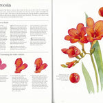 Kew: The Watercolour Flower Painter's A to Z by Fletcher. Adelene 30 9781782216483_5