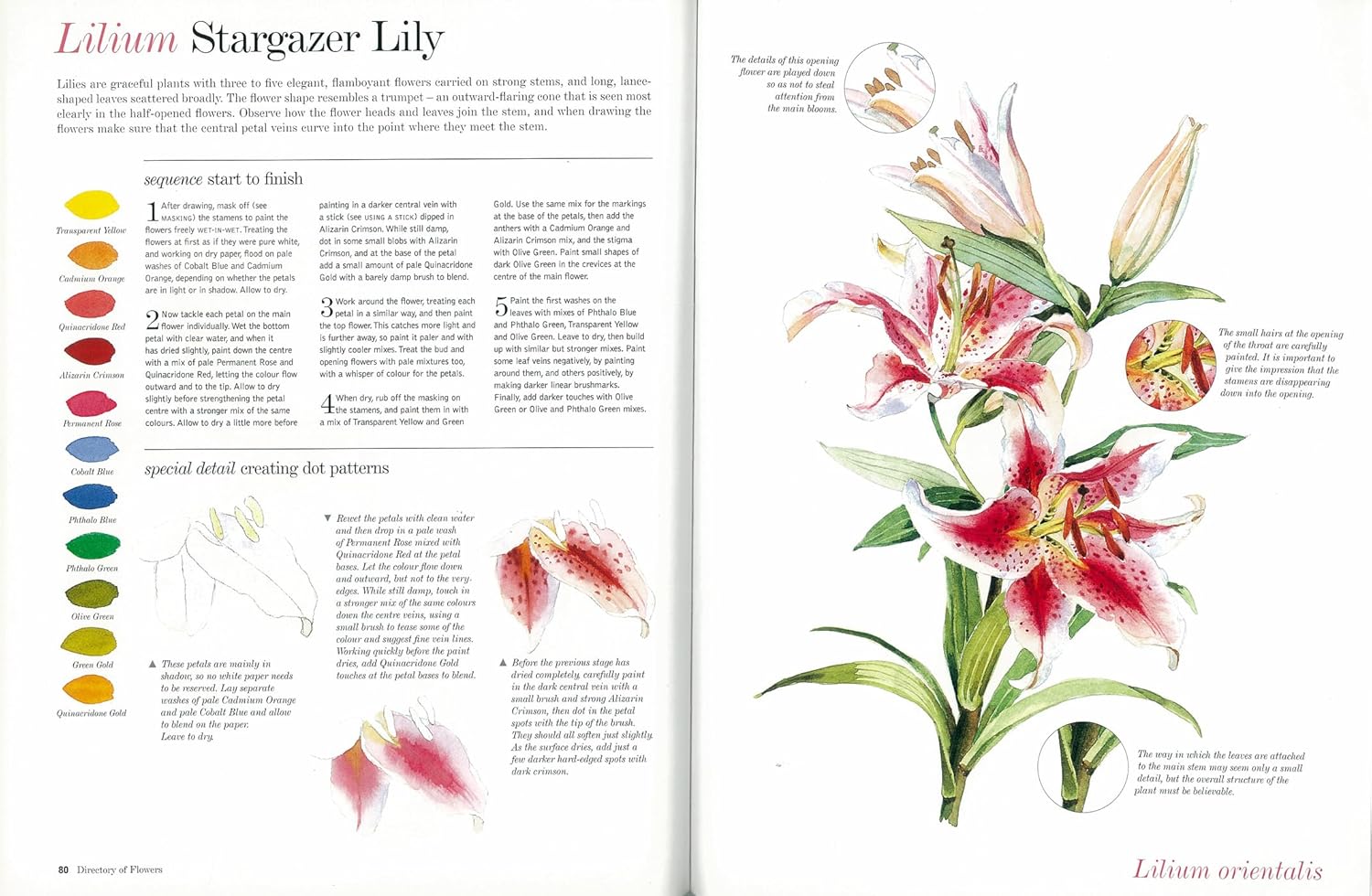 Kew: The Watercolour Flower Painter's A to Z by Fletcher. Adelene 30 9781782216483_6