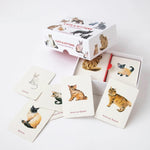 Cats & Kittens: A Memory Game - George. Marcel 9781786271549_2