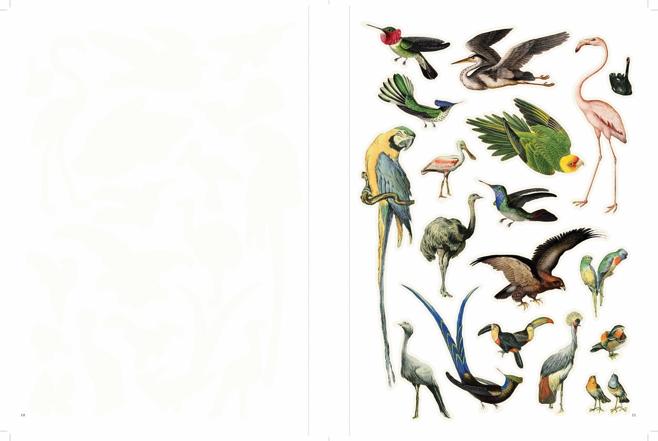 Extraordinary Things to Cut Out and Collage by Rivan. Maria 20 9781786274946_1