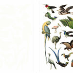 Extraordinary Things to Cut Out and Collage by Rivan. Maria 20 9781786274946_1