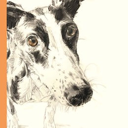 The Book Of Dog Poems by Maycock. Sarah; Sampson. Ana 9781786279439