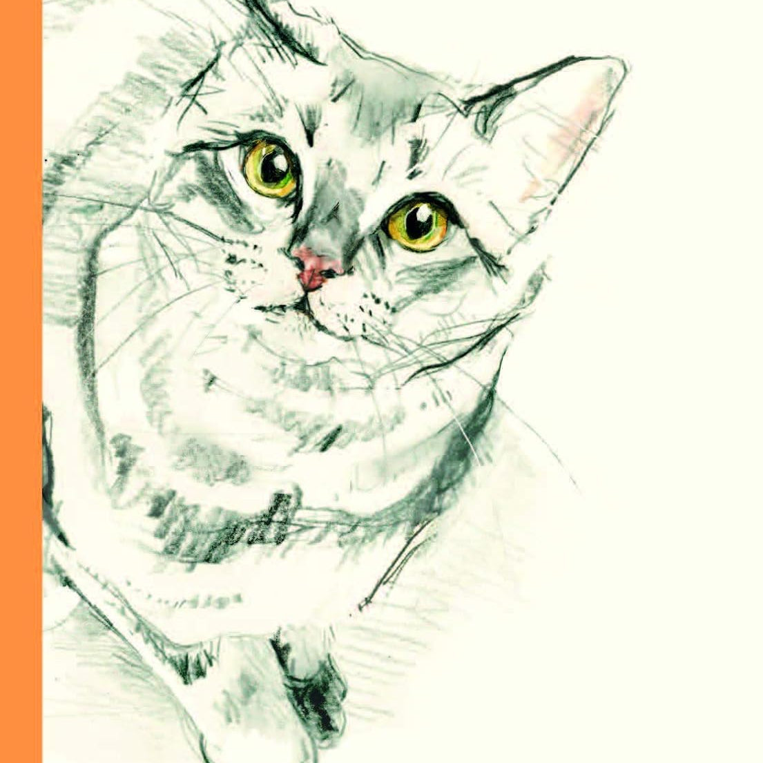 The Book Of Cat Poems by Maycock. Sarah; Sampson. Ana 9781786279446