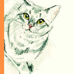 The Book Of Cat Poems by Maycock. Sarah; Sampson. Ana 9781786279446