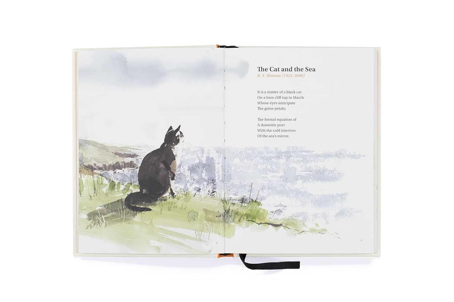 The Book Of Cat Poems by Maycock. Sarah; Sampson. Ana 9781786279446_4