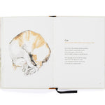 The Book Of Cat Poems by Maycock. Sarah; Sampson. Ana 9781786279446_7