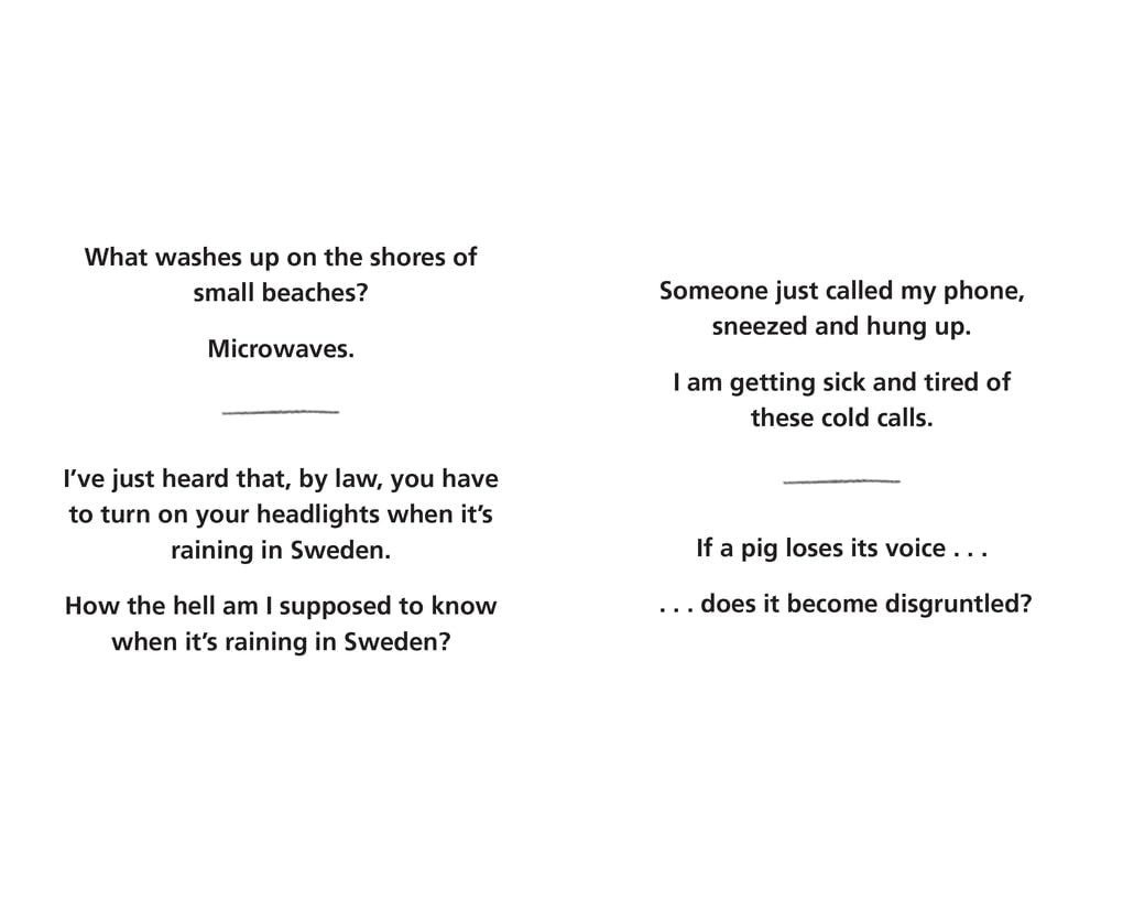 Dad Jokes: The Punny Edition by @Dadsaysjokes 9781788402576_3
