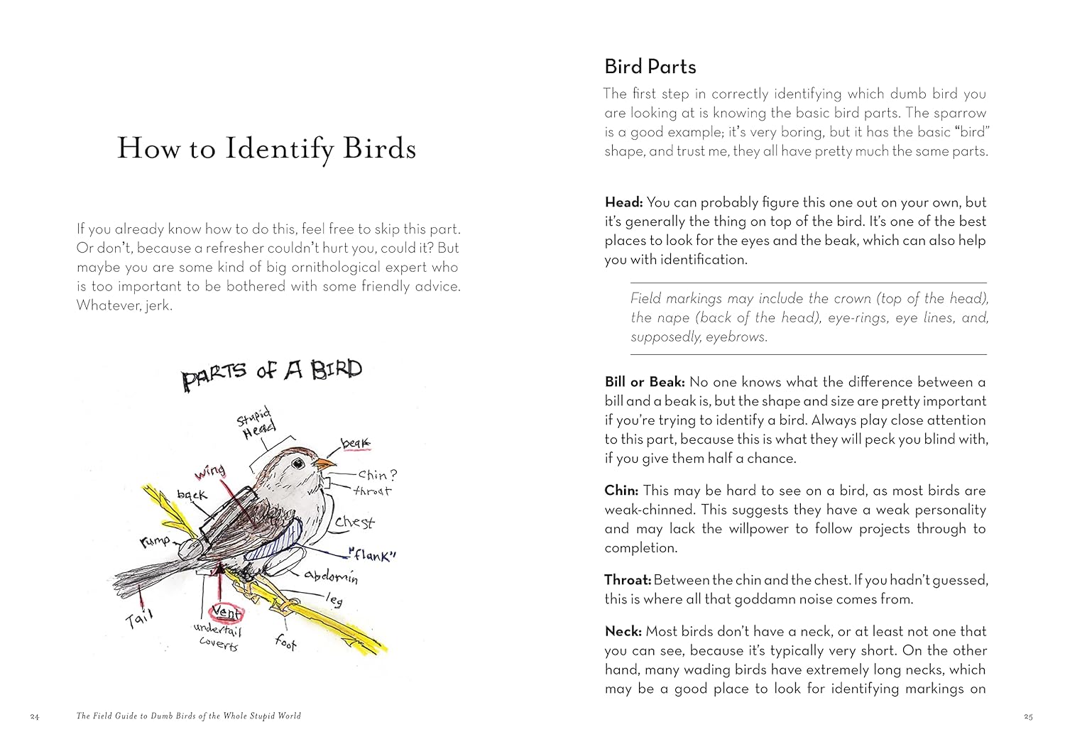 The Field Guide To Dumb Birds Of The Whole Stupid World by Kracht. Matt 9781797212272_4