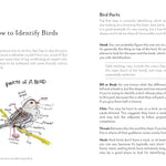The Field Guide To Dumb Birds Of The Whole Stupid World by Kracht. Matt 9781797212272_4