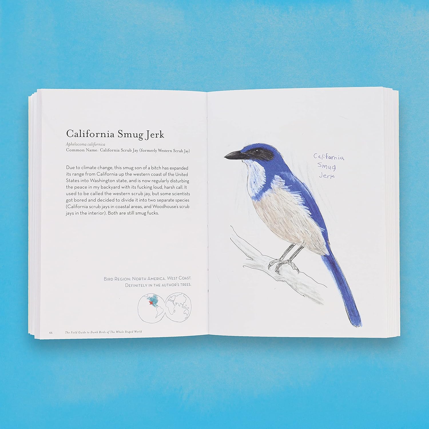 The Field Guide To Dumb Birds Of The Whole Stupid World by Kracht. Matt 9781797212272_6