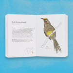 The Field Guide To Dumb Birds Of The Whole Stupid World by Kracht. Matt 9781797212272_7