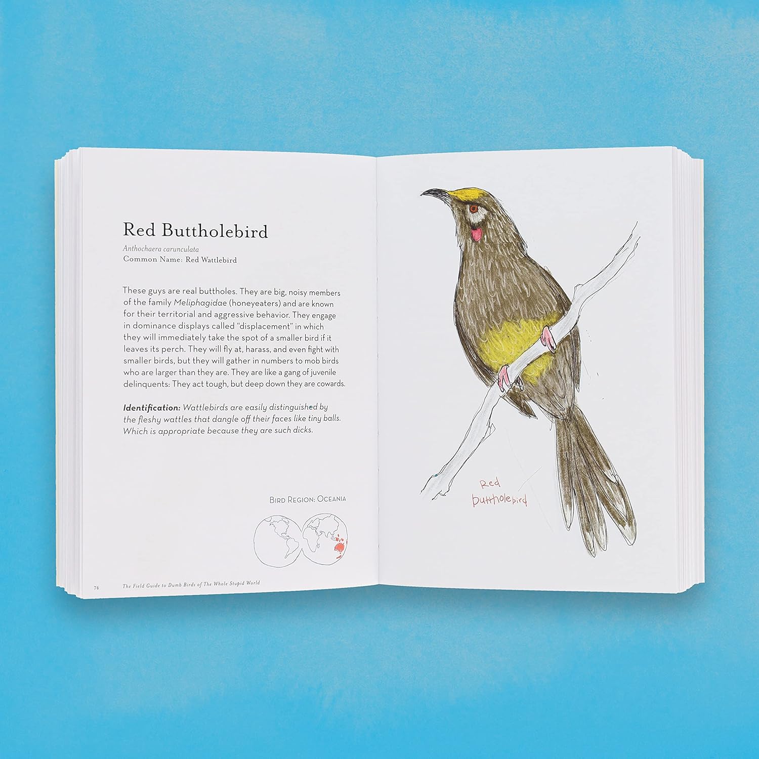 The Field Guide To Dumb Birds Of The Whole Stupid World by Kracht. Matt 9781797212272_7