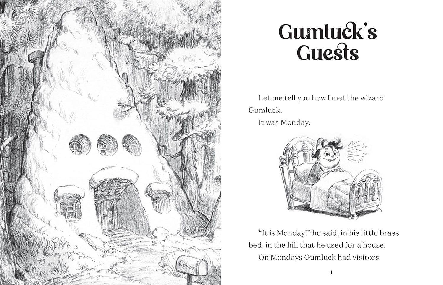 The Story Of Gumluck The Wizard: Book One 9781797213231_2