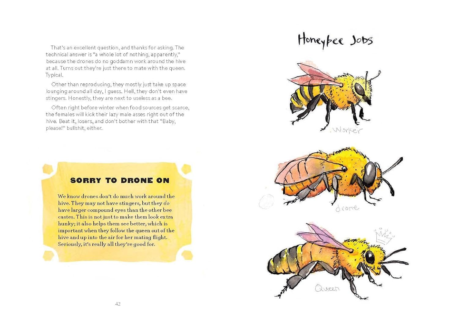Omfg, Bees!: Bees Are So Amazing And You're About To Find Out Why by Kracht. Mat 9781797219905_10