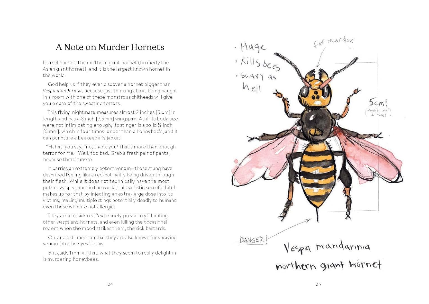 Omfg, Bees!: Bees Are So Amazing And You're About To Find Out Why by Kracht. Mat 9781797219905_7