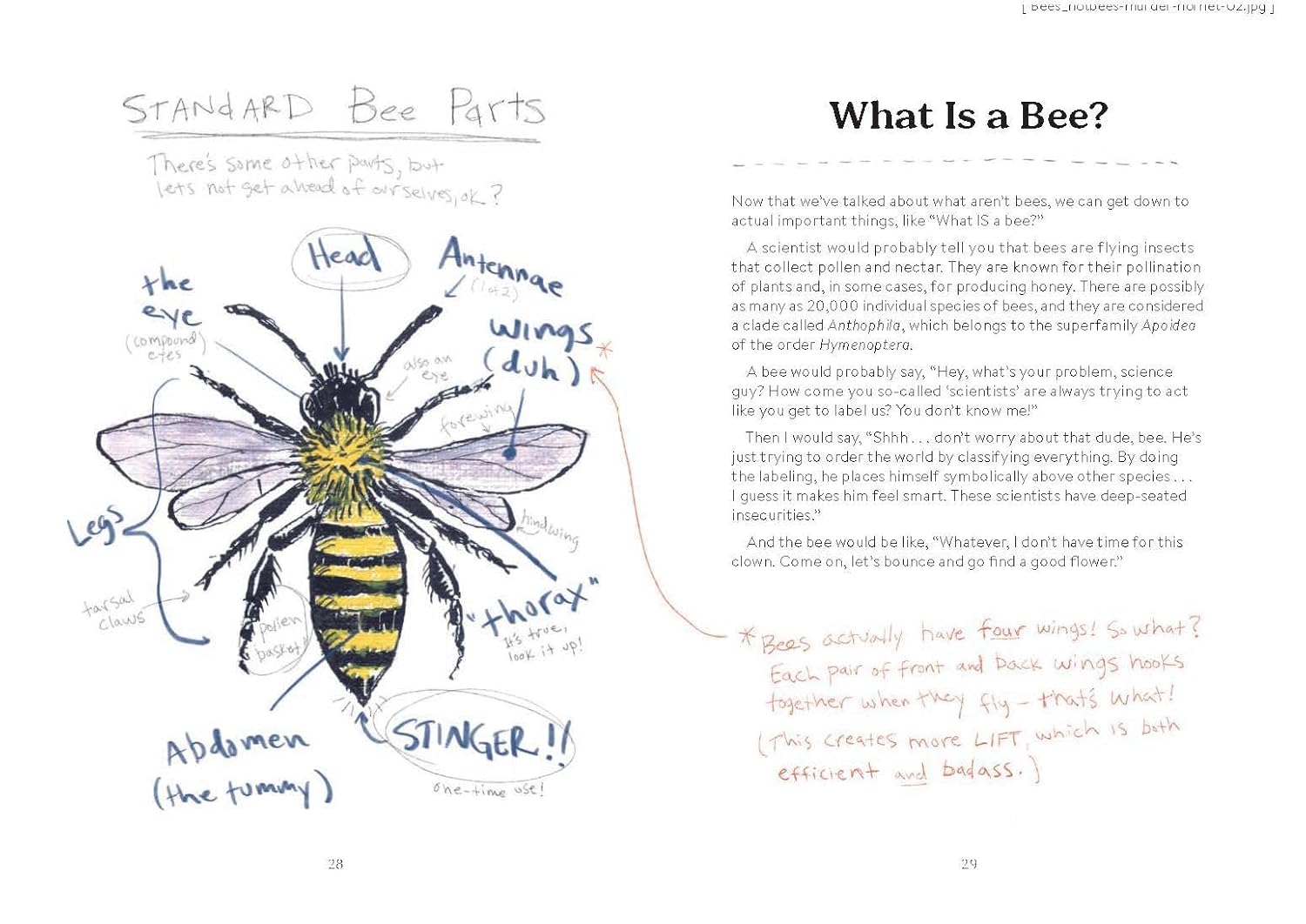 Omfg, Bees!: Bees Are So Amazing And You're About To Find Out Why by Kracht. Mat 9781797219905_8