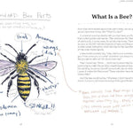 Omfg, Bees!: Bees Are So Amazing And You're About To Find Out Why by Kracht. Mat 9781797219905_8