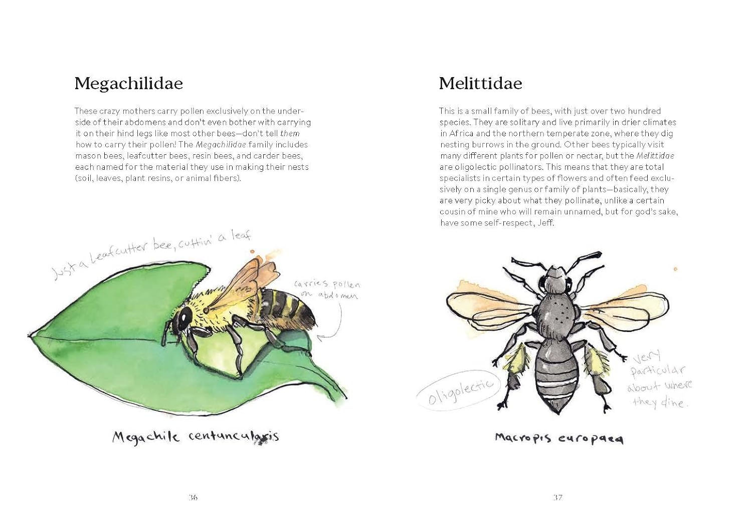 Omfg, Bees!: Bees Are So Amazing And You're About To Find Out Why by Kracht. Mat 9781797219905_9