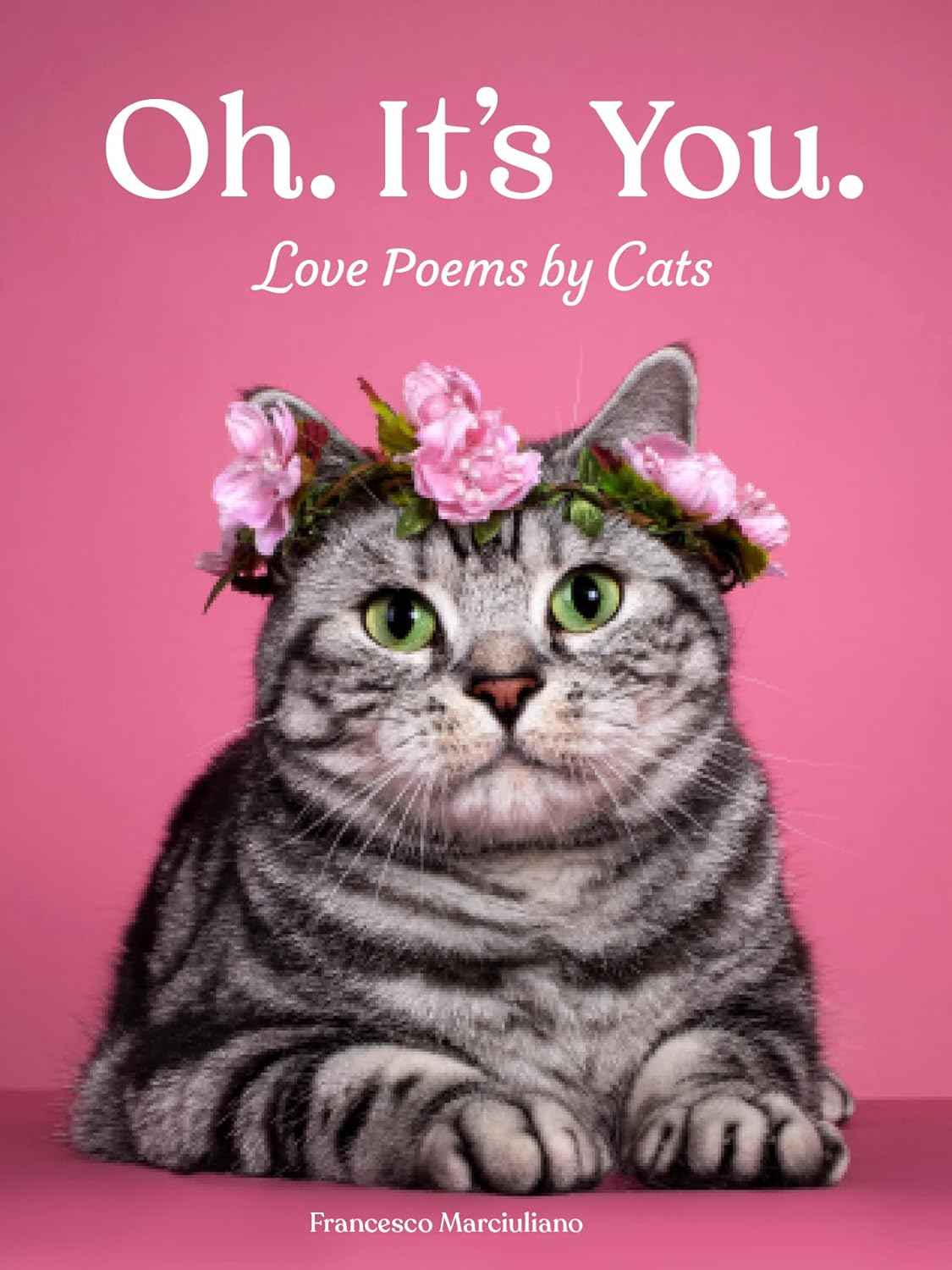 Oh. It's You..: Love Poems By Cats by Marciuliano. Francesco 9781797220031