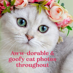 Oh. It's You..: Love Poems By Cats by Marciuliano. Francesco 9781797220031_3