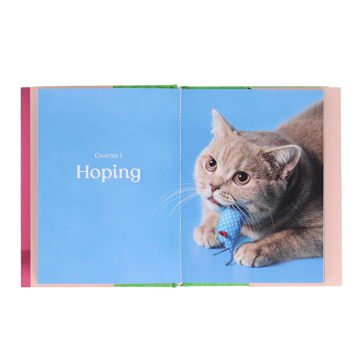 Oh. It's You..: Love Poems By Cats by Marciuliano. Francesco 9781797220031_5