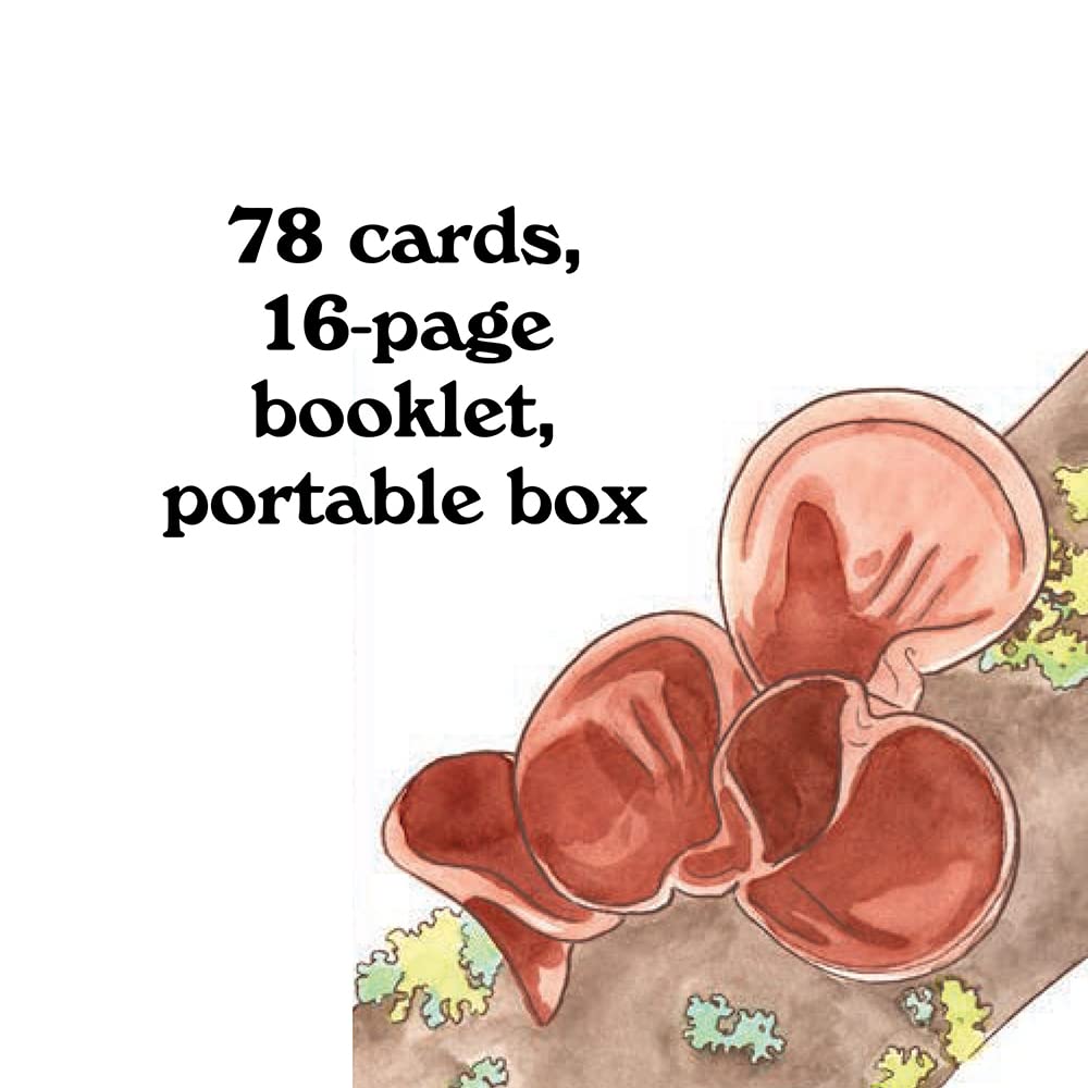 Mushroom Spotter's Deck by Kott. Megan Lynn 9781797220048_3