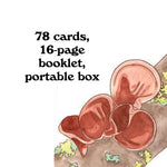 Mushroom Spotter's Deck by Kott. Megan Lynn 9781797220048_3