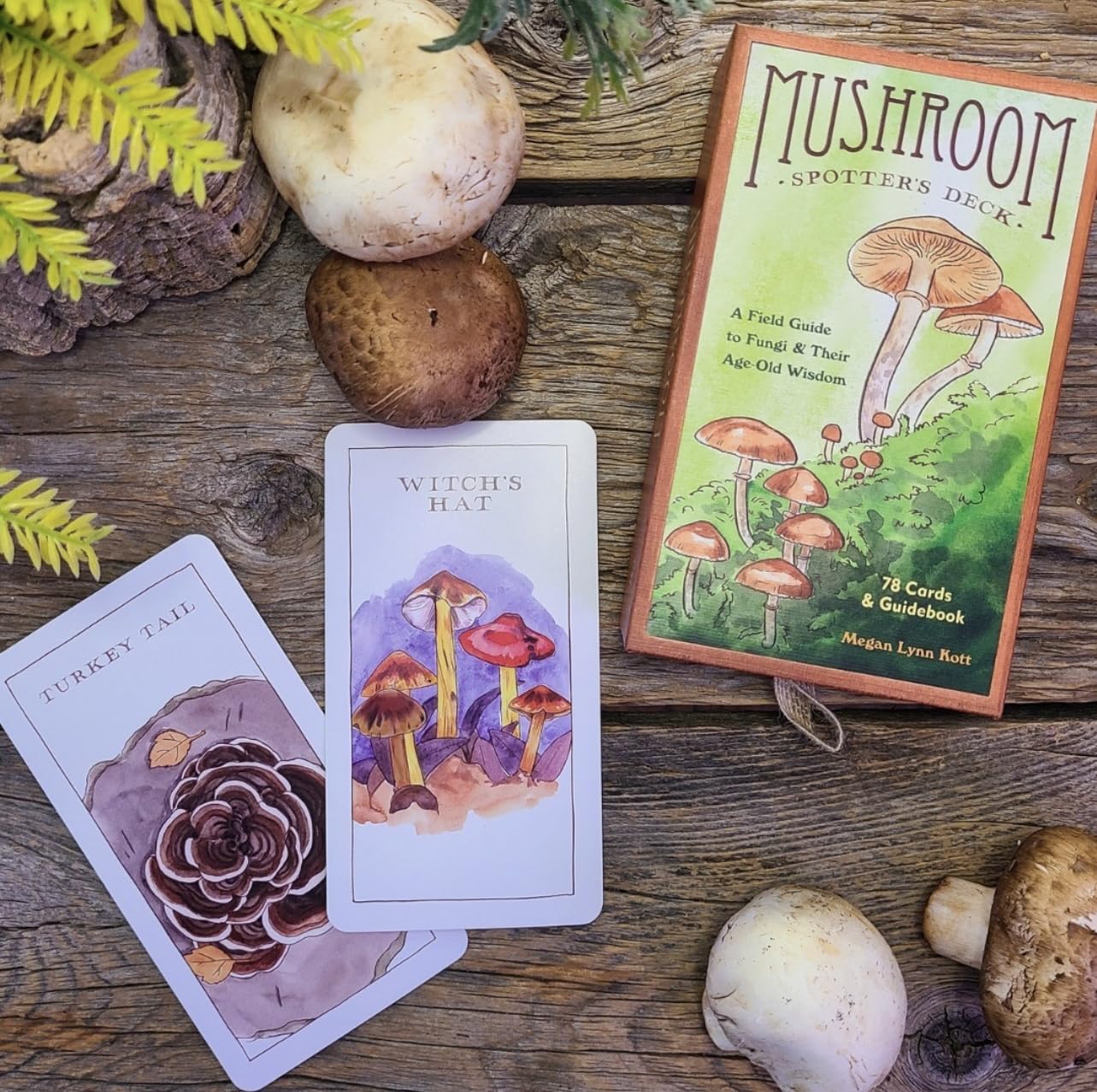 Mushroom Spotter's Deck by Kott. Megan Lynn 9781797220048_4