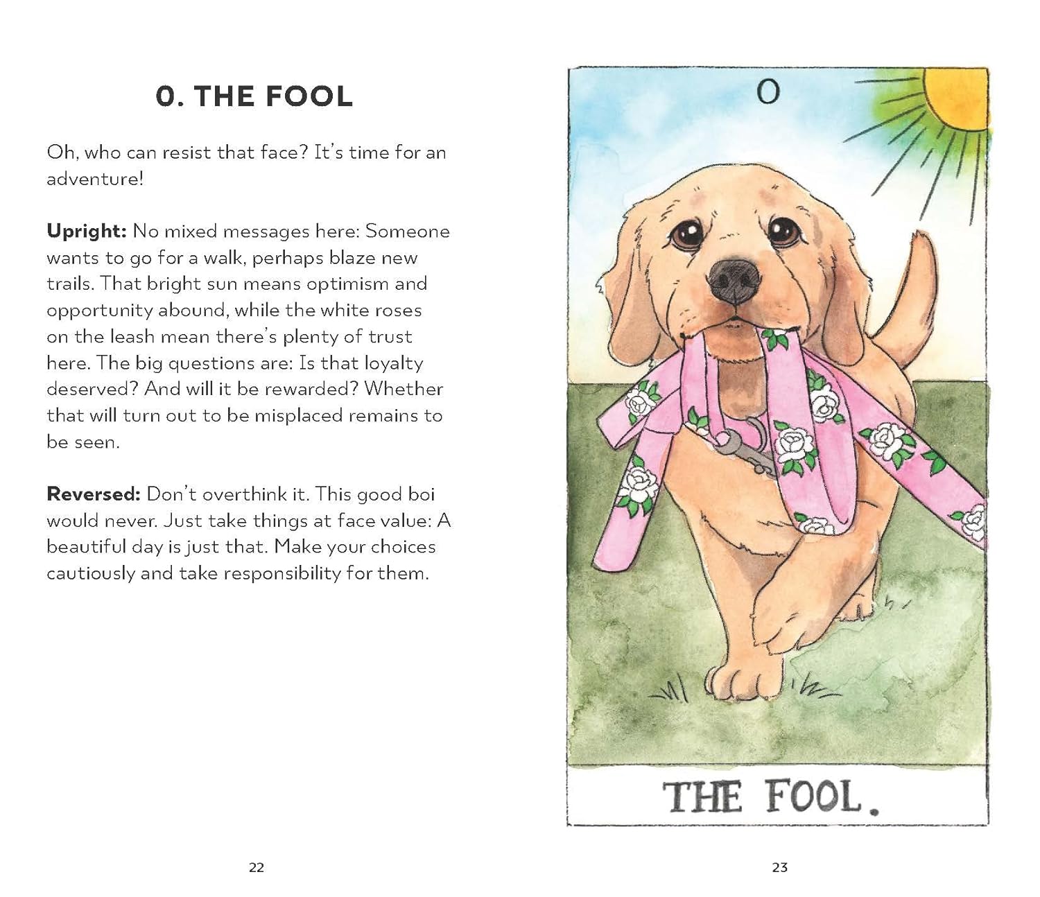 Dog Tarot: 78 Cards & Guidebook by Kott. Megan Lynn 9781797224350_5