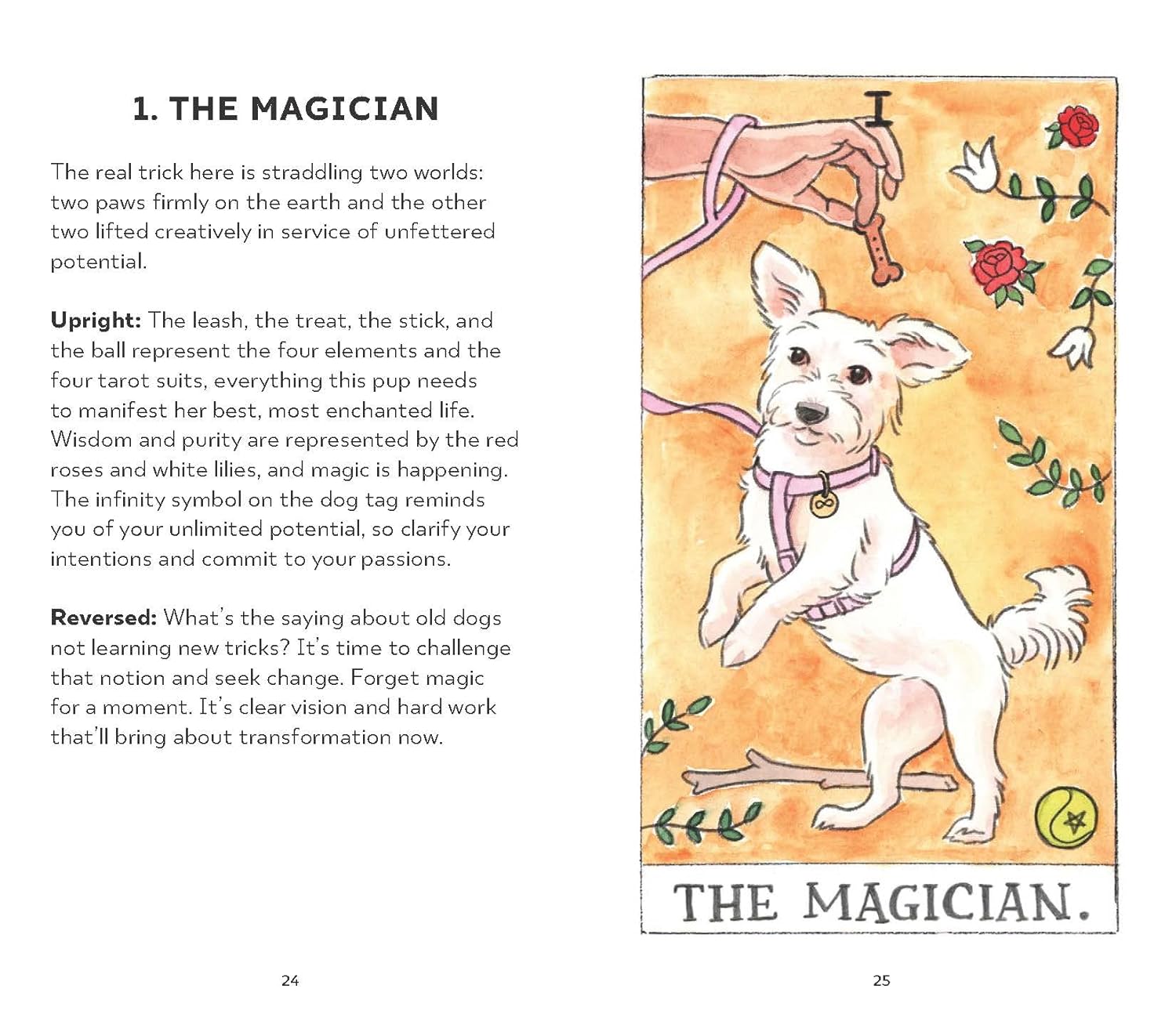 Dog Tarot: 78 Cards & Guidebook by Kott. Megan Lynn 9781797224350_6