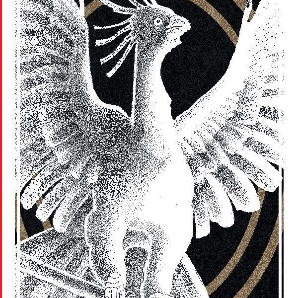 The Avian Tarot by Batchelder. Brittany Lyn 20 9781797225531_1