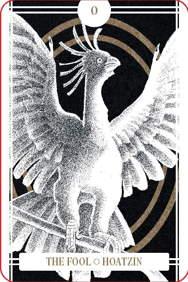The Avian Tarot by Batchelder. Brittany Lyn 20 9781797225531_1