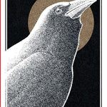 The Avian Tarot by Batchelder. Brittany Lyn 20 9781797225531_2