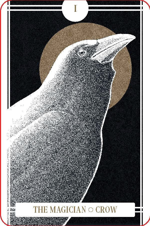 The Avian Tarot by Batchelder. Brittany Lyn 20 9781797225531_2