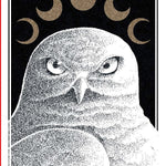 The Avian Tarot by Batchelder. Brittany Lyn 20 9781797225531_3