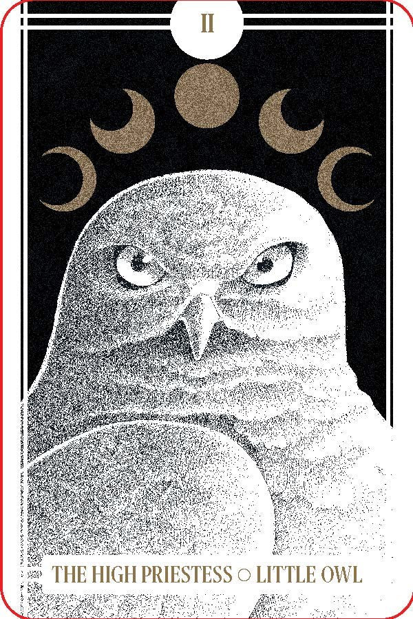 The Avian Tarot by Batchelder. Brittany Lyn 20 9781797225531_3
