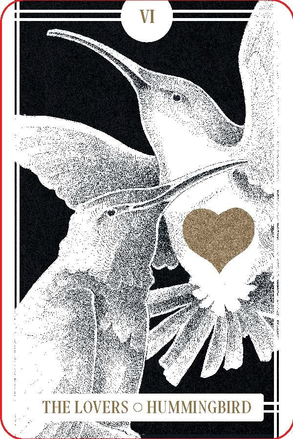 The Avian Tarot by Batchelder. Brittany Lyn 20 9781797225531_4