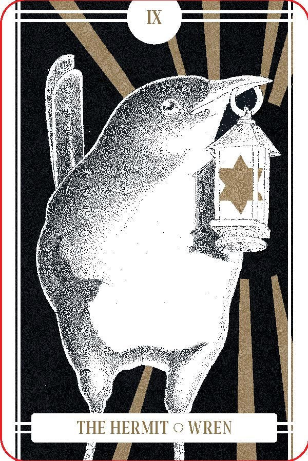 The Avian Tarot by Batchelder. Brittany Lyn 20 9781797225531_5