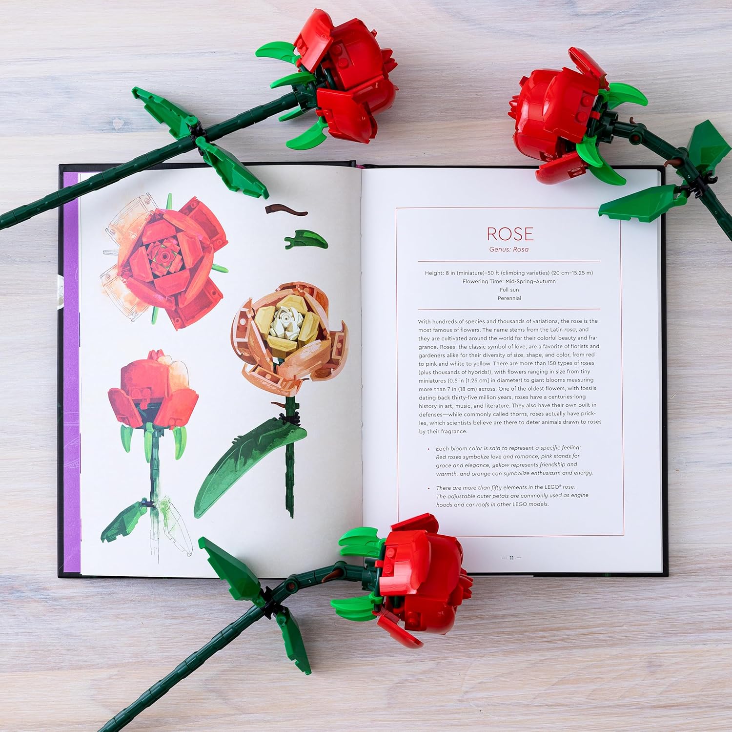 Lego Botanical Almanac by Lego 9781797227801_4