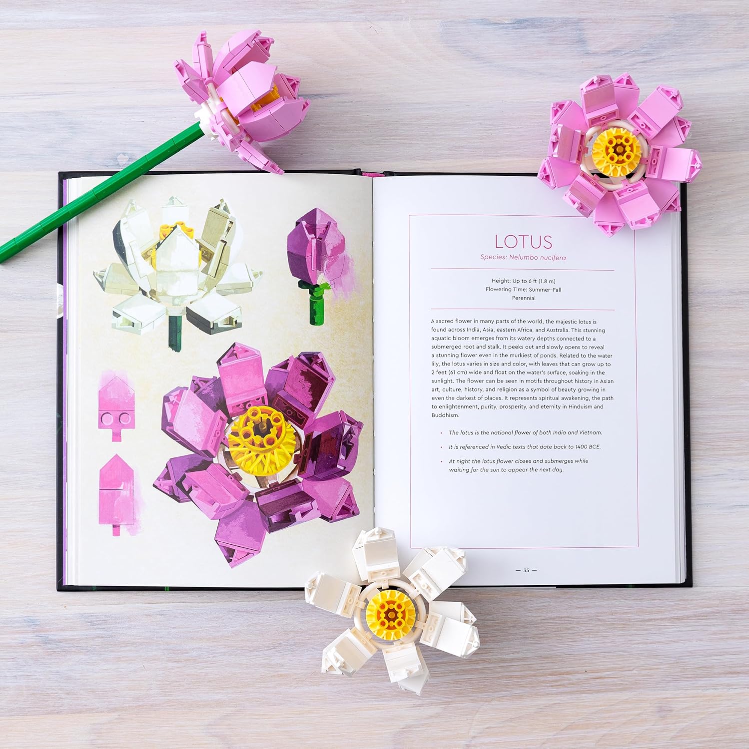Lego Botanical Almanac by Lego 9781797227801_5